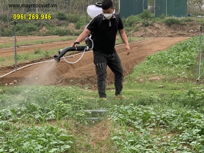 Máy phun thuốc Kawasaki TK65 diệt trừ sâu bọ cho vườn rau 2