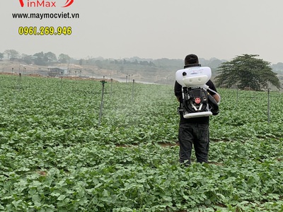 Máy phun thuốc Kawasaki TK65 diệt trừ sâu bọ cho vườn rau 3