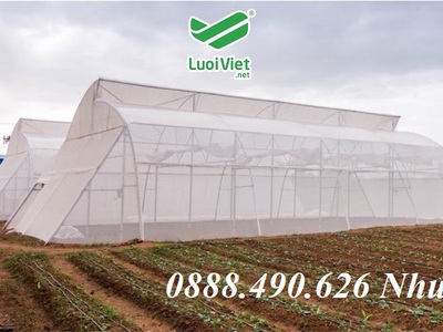 Lưới cước chắn côn trùng màu trắng độ bền trên 5 năm 1