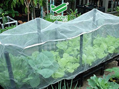 Lưới cước chắn côn trùng màu trắng độ bền trên 5 năm 2