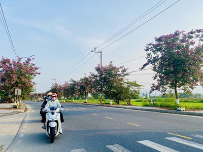 Đất Điện Bàn giá rẻ 6,4tr / m2 - chỉ còn duy nhất 5 lô đối diện trường học 0