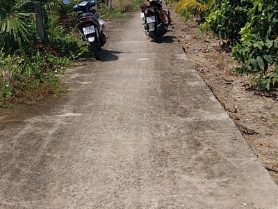 Bán đất công đang trồng dừa ấp Long Hòa A, xã Đạo Thạnh, TP Mỹ Tho. 1
