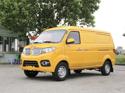 Dongben X30 V2-V5 Chở hàng vào Thành Phố 24/24 5