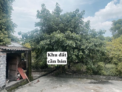 Cần tìm thuê bằng bs RHM 626