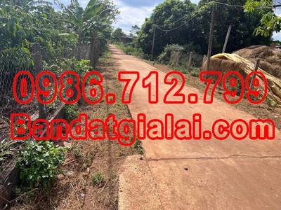 Cần tìm thuê bằng bs RHM 855