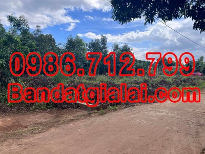 Cần tìm thuê bằng bs RHM 857