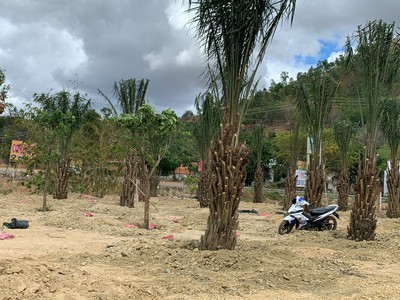Cần tìm thuê bằng bs RHM 761