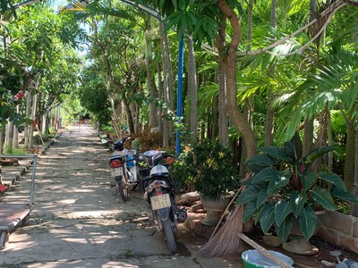 Cần tìm thuê bằng bs RHM 792
