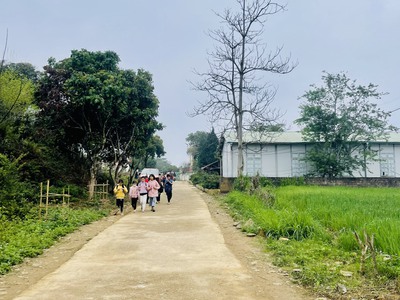 Cần tìm thuê bằng bs RHM 1022