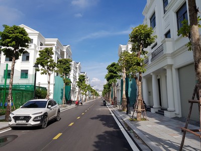 Cần bán căn biệt thự Vinhome Maria Hải Phòng rẻ nhất thị trường 0