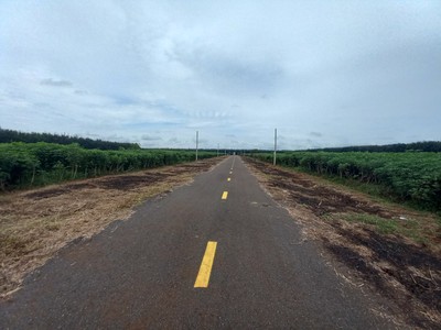 770 triệu - 1179,7 m2   ĐT. 756 - BÌNH PHƯỚC 1