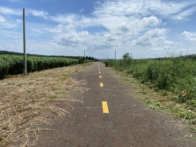 770 triệu - 1179,7 m2   ĐT. 756 - BÌNH PHƯỚC 7