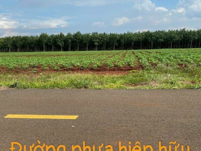 770 triệu - 1179,7 m2   ĐT. 756 - BÌNH PHƯỚC 5