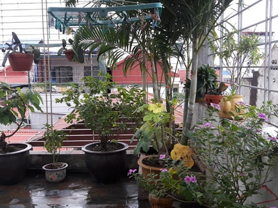 Cần tìm thuê bằng bs RHM 1657