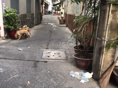 Chính chủ cần bán  nhà ở nguyễn chí thanh, phường 4, quận 11, tp hồ chí minh 2