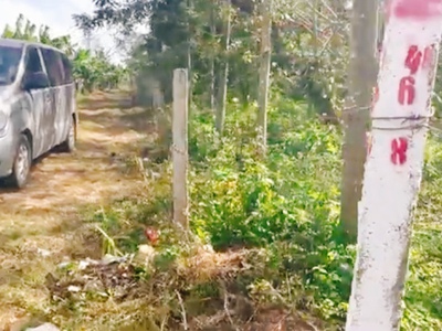 Cần tìm thuê bằng bs RHM 1649