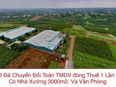 Cần bán nhà xưởng với tổng dt12.700m2 tp ngang 130m x dài 98m. bảo lộc - lâm đồng 0