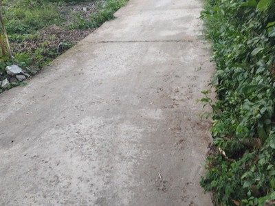 Cần tìm thuê bằng bs RHM 1616