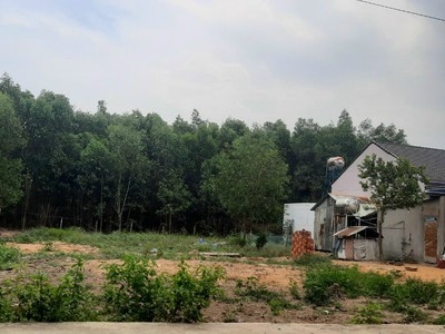 Cần tìm thuê bằng bs RHM 1842