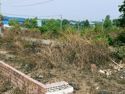 Cần tìm thuê bằng bs RHM 1875