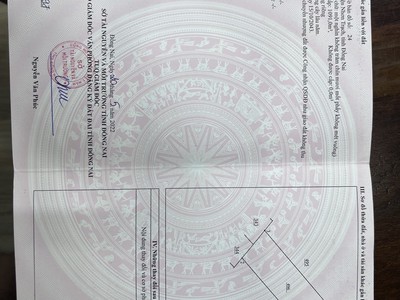 Đất vườn nhơn trạch - lánh xa phố thị cho nhu cầu nghỉ dưỡng vườn tược. 4