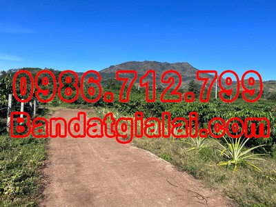 Cần tìm thuê bằng bs RHM 3226
