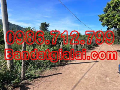 Cần tìm thuê bằng bs RHM 3229
