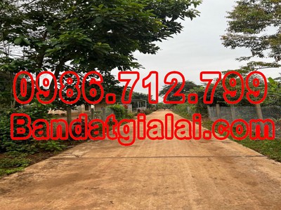 Cần tìm thuê bằng bs RHM 2661