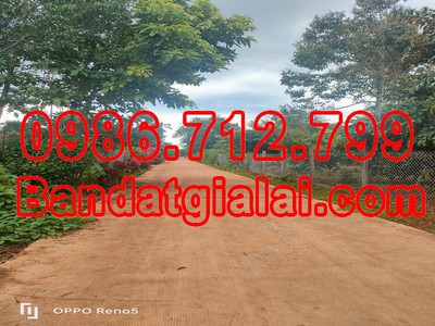 Cần tìm thuê bằng bs RHM 2662