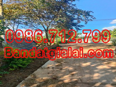 Cần tìm thuê bằng bs RHM 2663