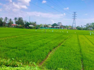 Cần tìm thuê bằng bs RHM 2593
