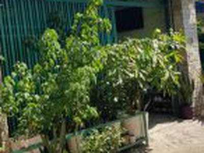 Cần tìm thuê bằng bs RHM 2457