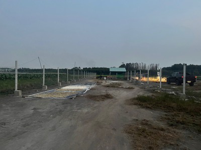 Chính chủ cần bán nhà vườn 1/đường trần hải phụng - giáp quận bình tân - tp.hcm 1