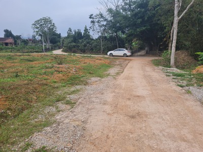 5x32, triệu sơn thanh hóa 3