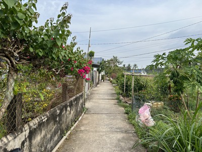 Bán 1,2 công đất ấp Phong Thuận, xã Tân Mỹ Chánh, TP Mỹ Tho. 0