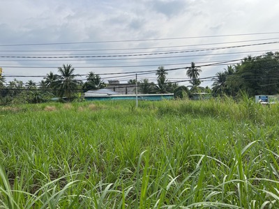 Bán 1,2 công đất ấp Phong Thuận, xã Tân Mỹ Chánh, TP Mỹ Tho. 1