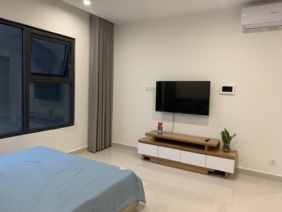 Cho thuê căn hộ studio full đồ giá chỉ 5tr/tháng Vinhomes Ocean Park 1