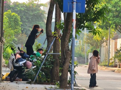 Cần tìm thuê bằng bs RHM 3782