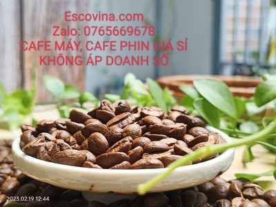 Cà phê pha máy Biên Hòa Đồng Nai, Sản phẩm loại 1 của Escovina Coffee chỉ với giá sỉ từ xưởng 2