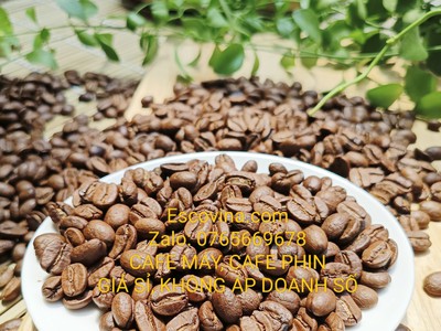 Cà phê pha máy Biên Hòa Đồng Nai, Sản phẩm loại 1 của Escovina Coffee chỉ với giá sỉ từ xưởng 1