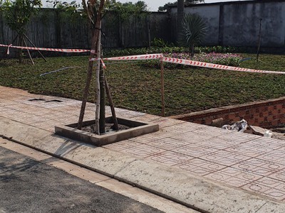 Cần Bán Gấp Đất Lọt Khe Giá Hữu Nghị DT:80m2 ,nằm gần trục đường chính 0