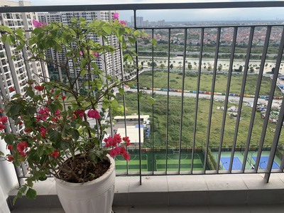 Cho thuê nhanh căn hộ 1n 1 giá tốt 5,3tr/tháng đồ cơ bản Vinhmes Ocean Park LH: 098 1996 532. 0