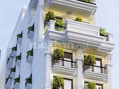 Chính chủ cần bán gấp tòa nhà căn Hộ tại Linh Lang Nguyễn Văn Ngọc Cống Vị Ba Đình dt 92 m2 giá 26,8 1