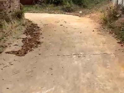 Cho thuê lâu dài đất thổ cư chính chủ 5000m2 1