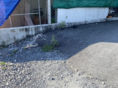 Đất ngay CoFee Việt 999 1