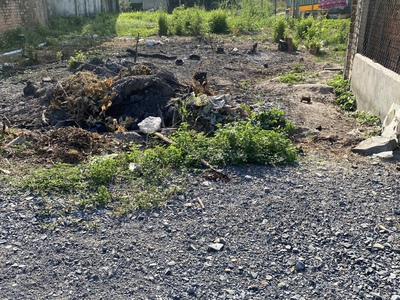 Đất ngay CoFee Việt 999 2