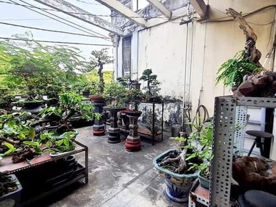 Bán nhà mặt tiền tái thiết, tân bình, ngang 5.3 x 19, nhỉnh 10 tỷ. 0