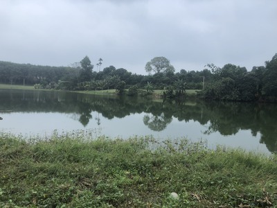 Thị trấn vân du, thạch thành, thanh hóa khu phố 7 view hồ 0