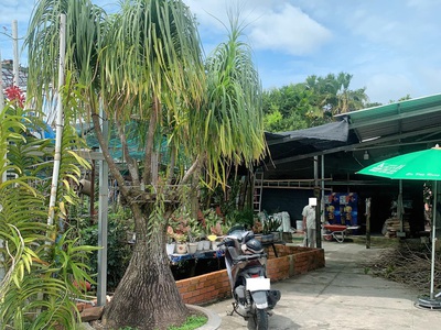 Lê Văn Khương đoạn trung tâm q12 - 450m2 thổ cư   700m2 cây lâu năm - 10 tỷ 2 - 23 triệu/m2 thổ cư 0