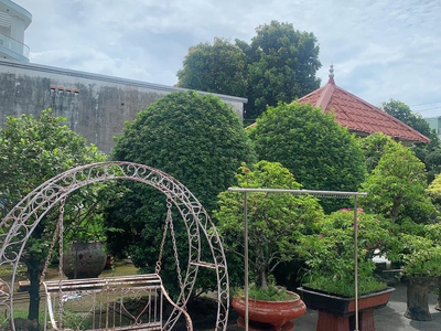 Lê Văn Khương đoạn trung tâm q12 - 450m2 thổ cư   700m2 cây lâu năm - 10 tỷ 2 - 23 triệu/m2 thổ cư 1